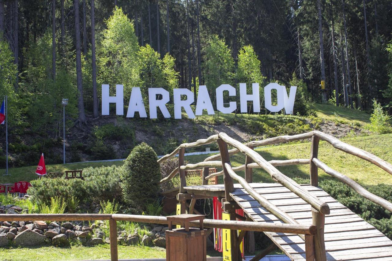 Enjoy Harrachov - Atraktivní slunný klimatizovaný apartmán 14 v centru Harrachova se saunou, wallboxem EV, herní konzolí, počítačem s win 10, Netflix a jedinečným výhledem na Čertovu horu se skokanskými můstky Exterior foto